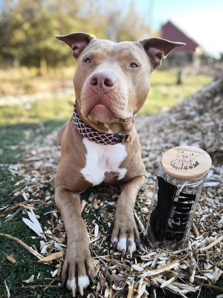 Personalisierte LeckerliGläser