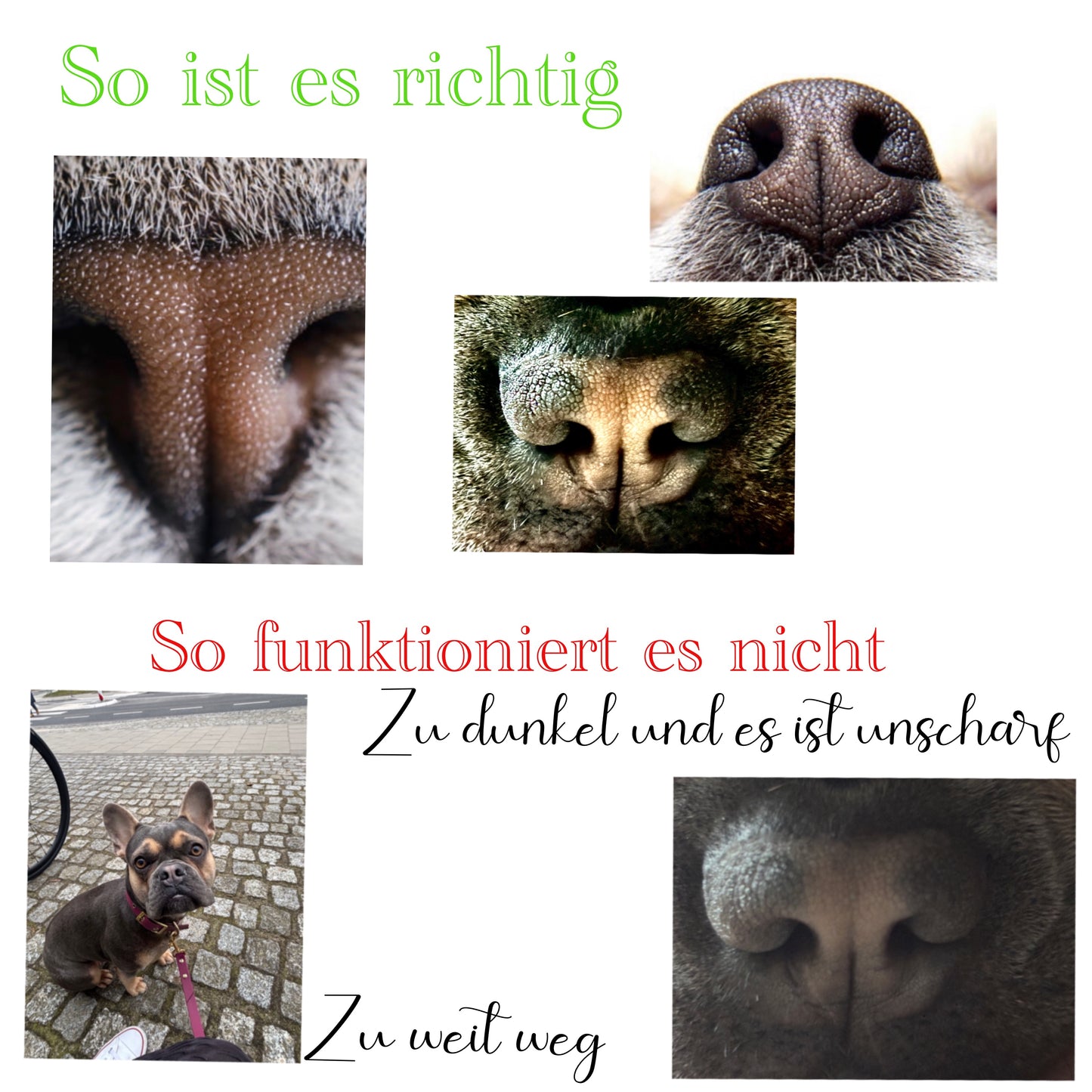 Verstellbarer Ring mit Nasenabdruck deines Lieblings
