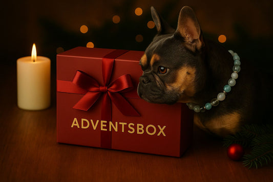 Große Adventsbox