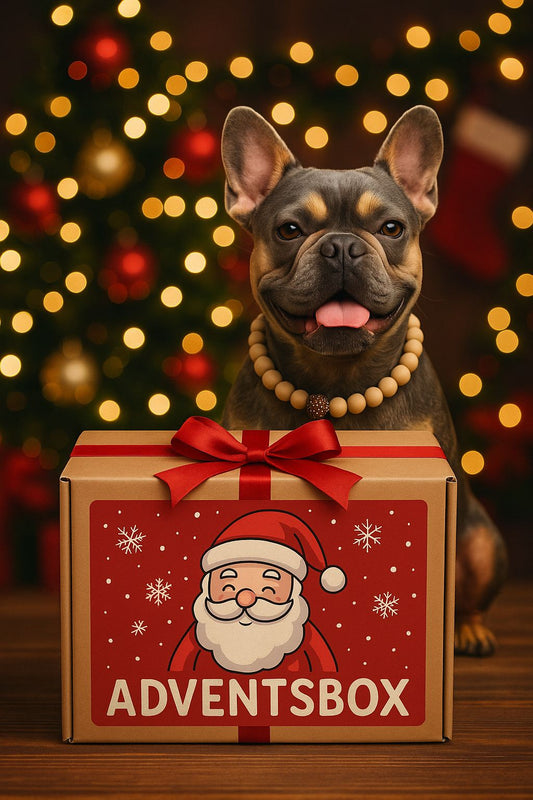 Kleine Adventsbox